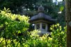 成田山公園（写真：椎名修）